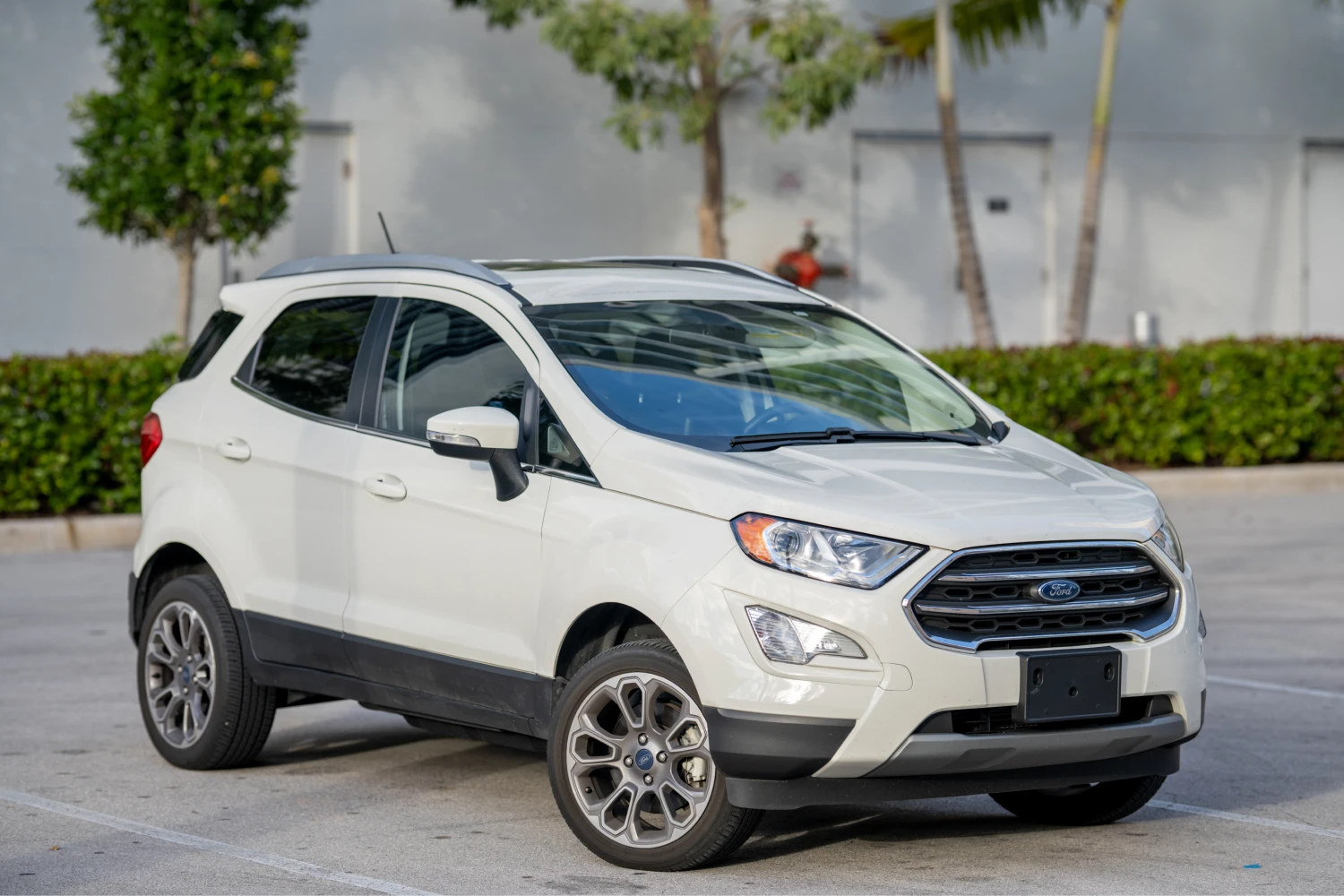 Ford EcoSport trunk organizer