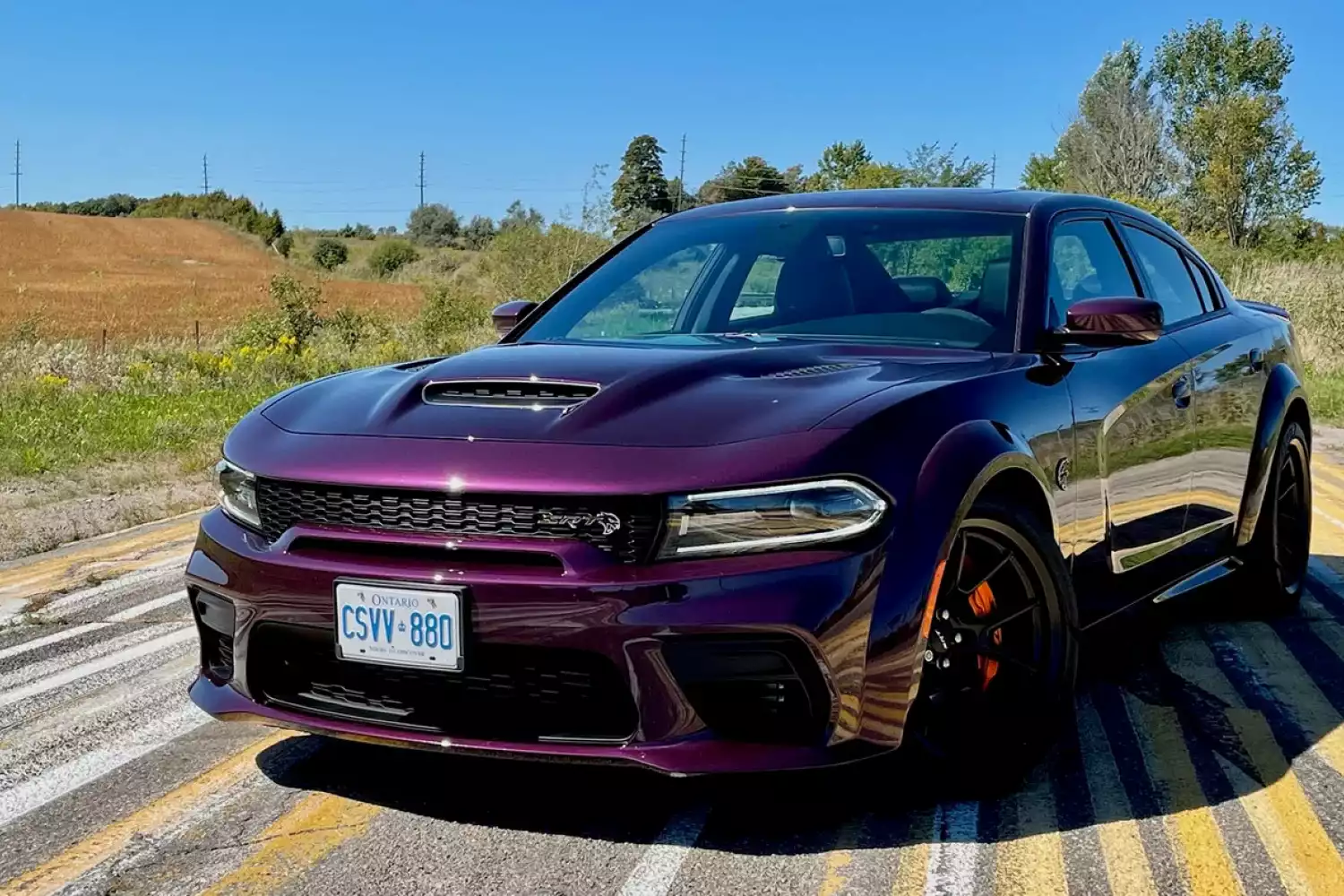 trunk organizer for Dodge Charger