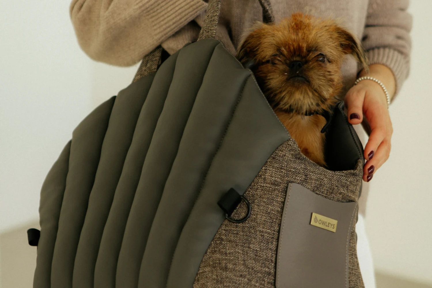 Norwich Terrier Dog Carrier Car Seat for Tesla Model Y