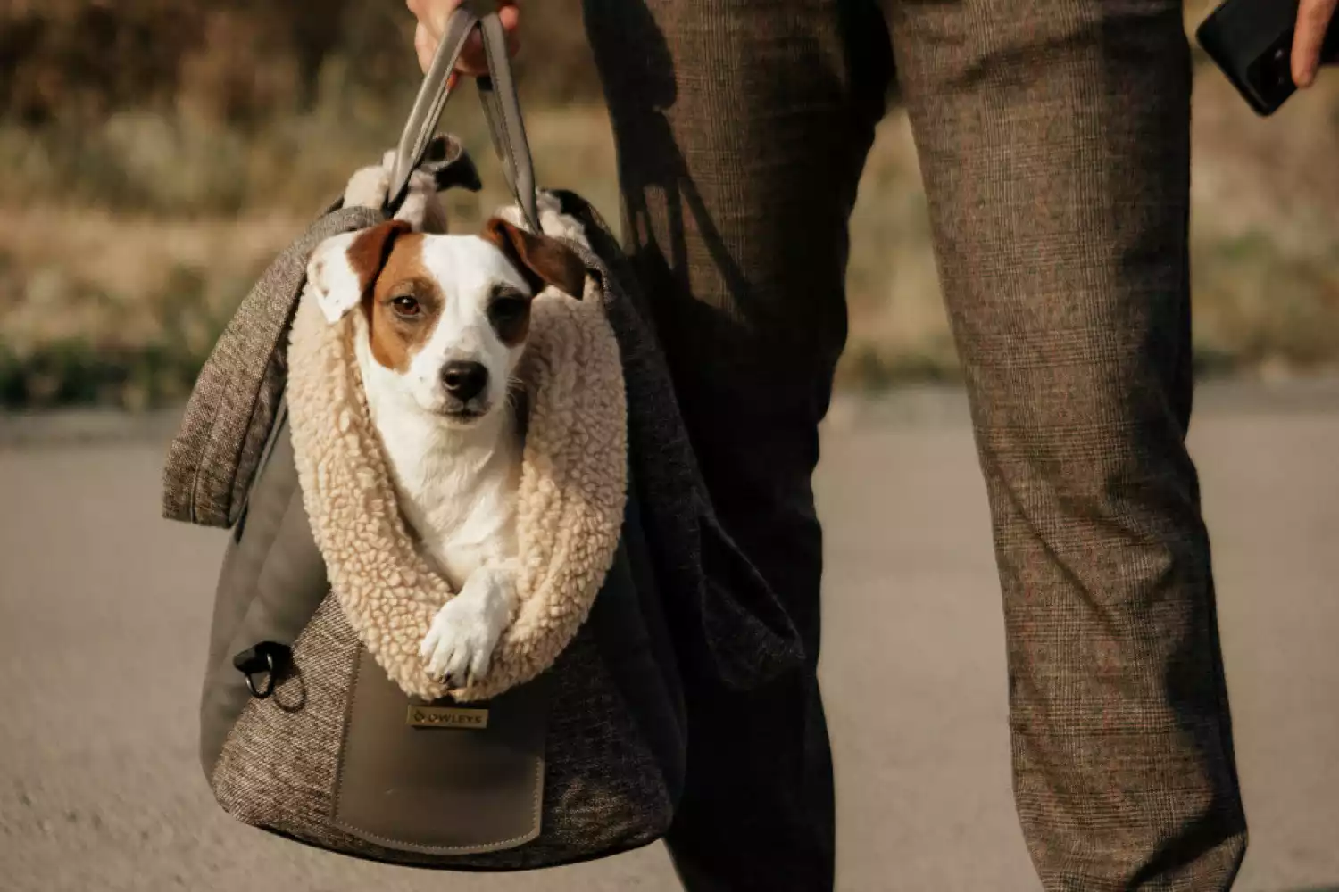 Dog Carrier Purse for Teacup Poodle