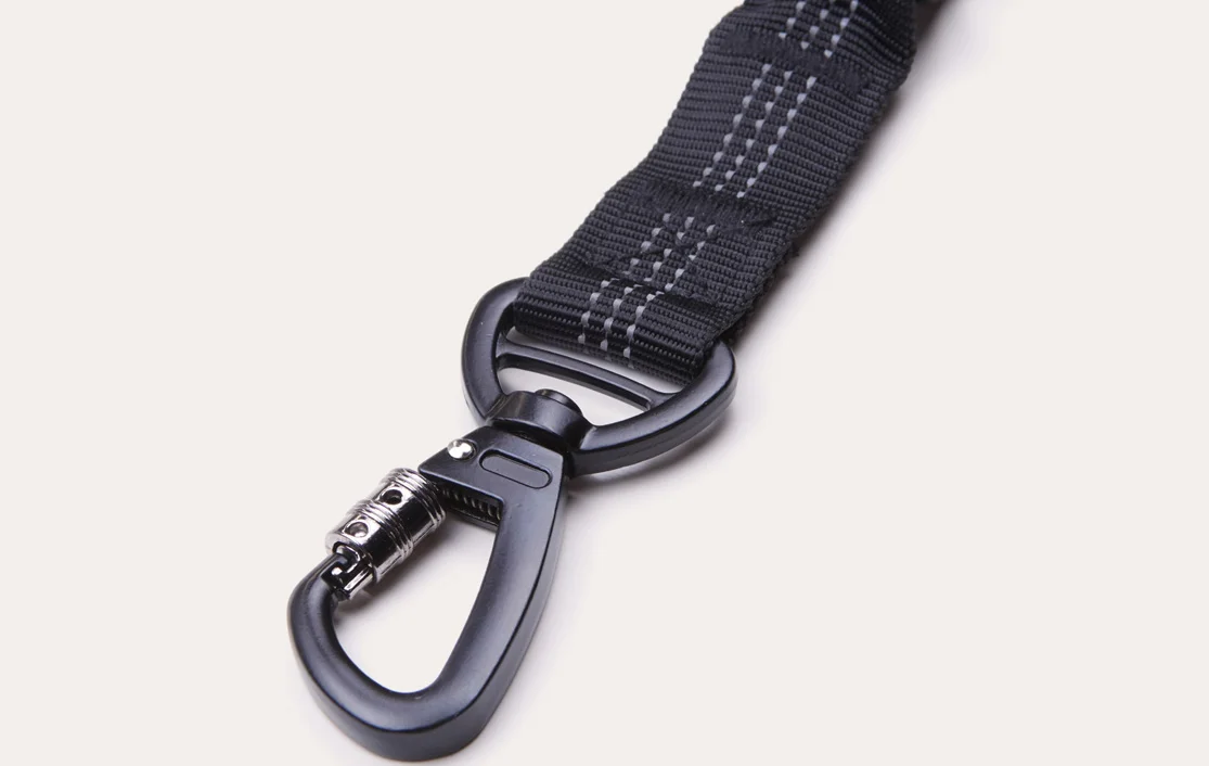 Hyundai Elantra Dog Car Seat Belt for Dalmatians