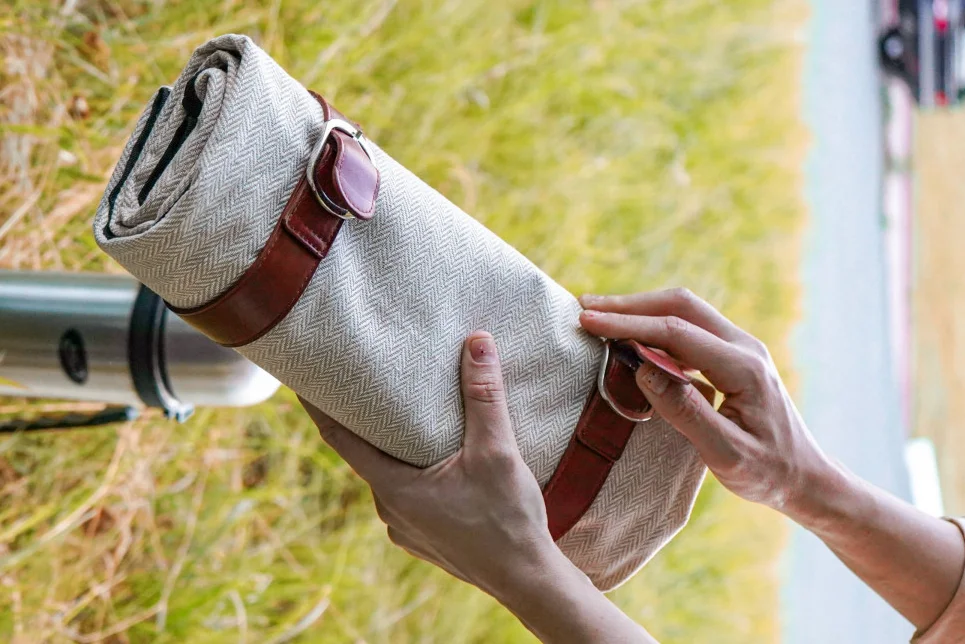 picnic bag and blanket