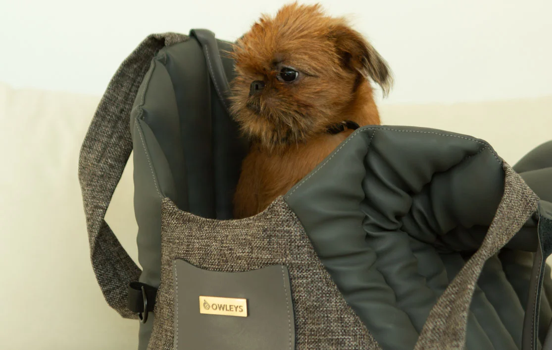 Norwich Terrier Dog Carrier Car Seat for Tesla Model Y