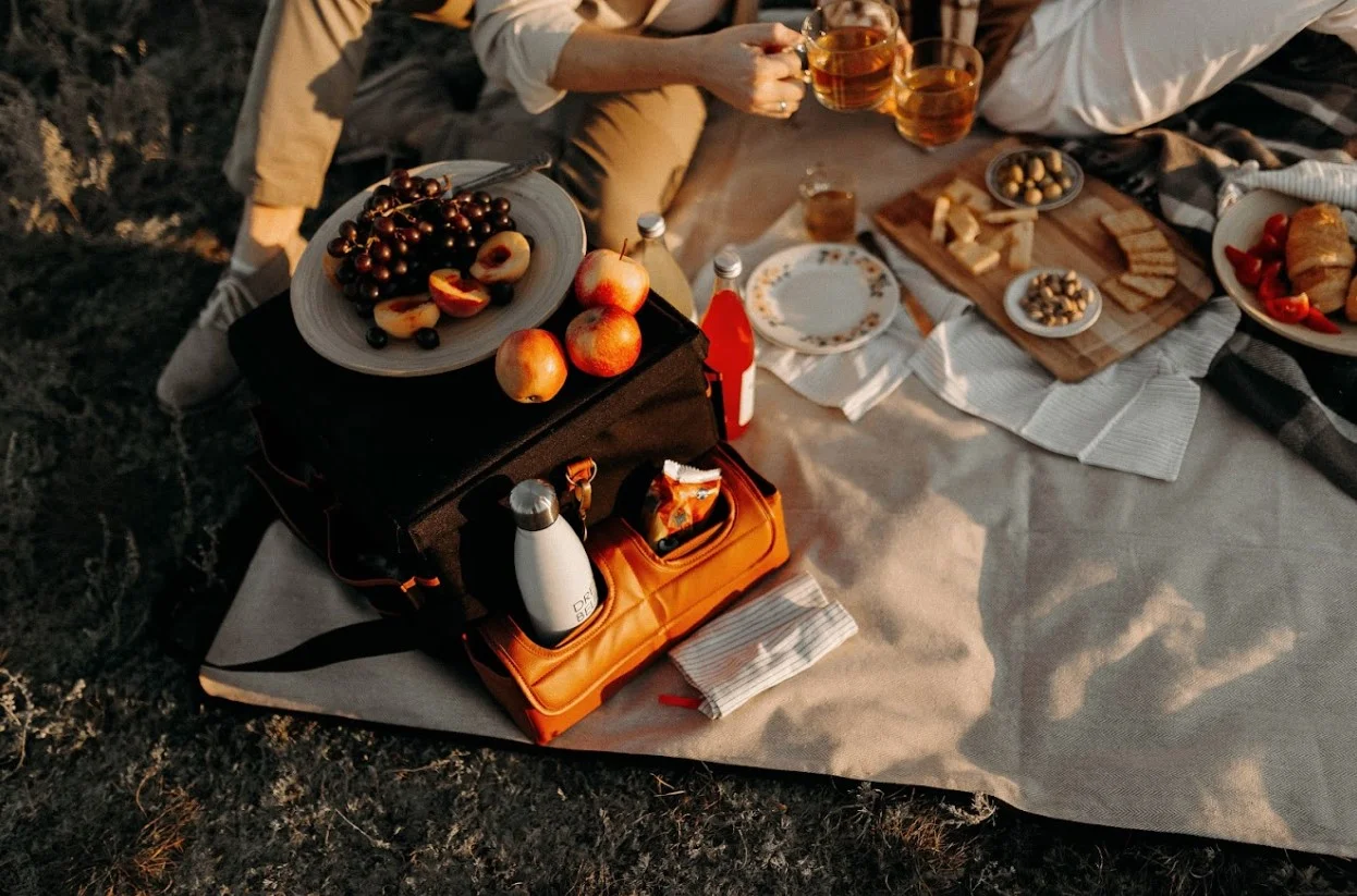 audi picnic blanket